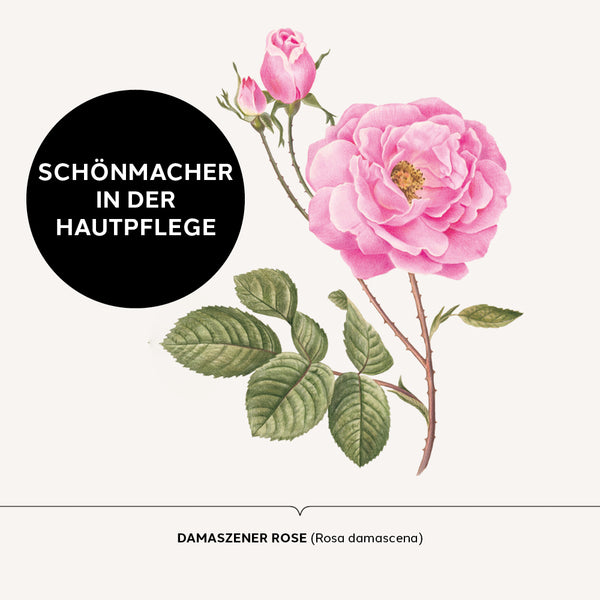 AUSGLEICHENDES ROSE GESICHTSWASSER