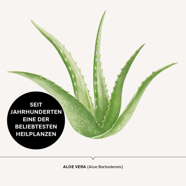 SANFTES ALOE VERA REINIGUNGSGEL